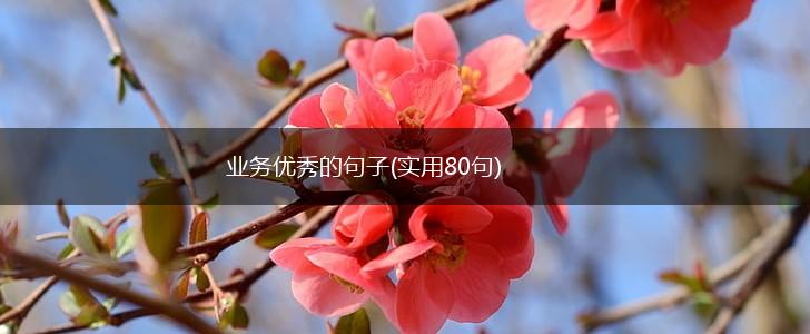 业务优秀的句子(实用80句),第1张