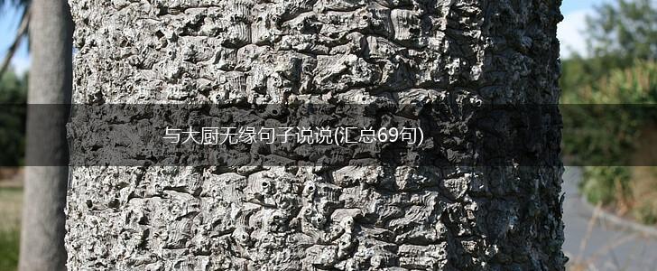 与大厨无缘句子说说(汇总69句),第1张