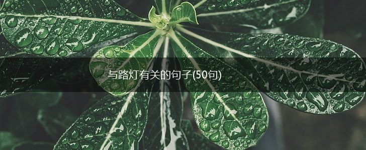 与路灯有关的句子(50句),第1张