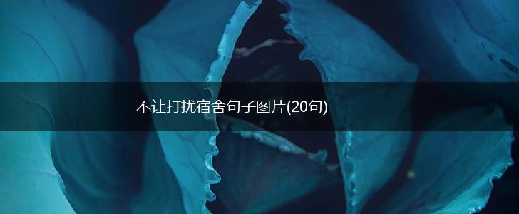 不让打扰宿舍句子图片(20句),第1张