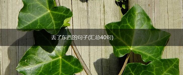 丢了东西的句子(汇总40句),第1张