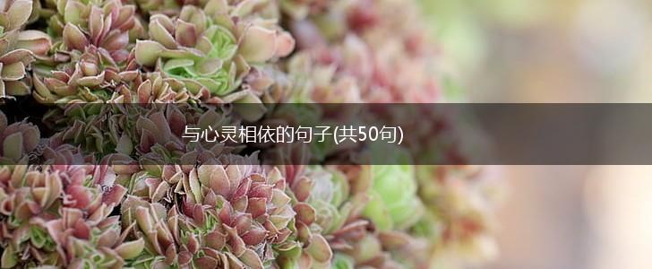 与心灵相依的句子(共50句),第1张