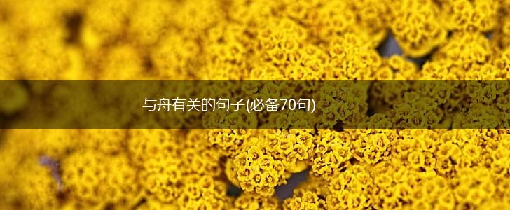 与舟有关的句子(必备70句),第1张