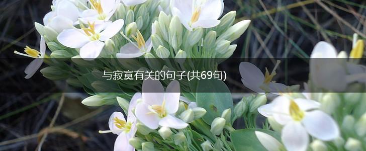 与寂寞有关的句子(共69句),第1张