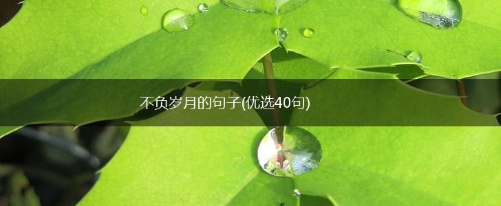 不负岁月的句子(优选40句),第1张