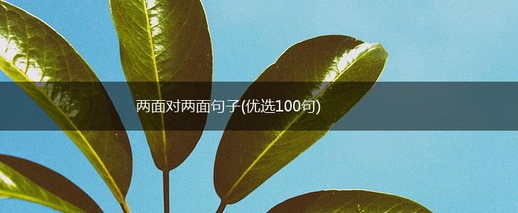 两面对两面句子(优选100句),第1张
