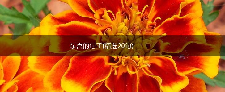 东宫的句子(精选20句),第1张