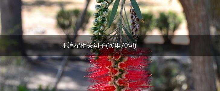 不追星相关句子(实用70句),第1张