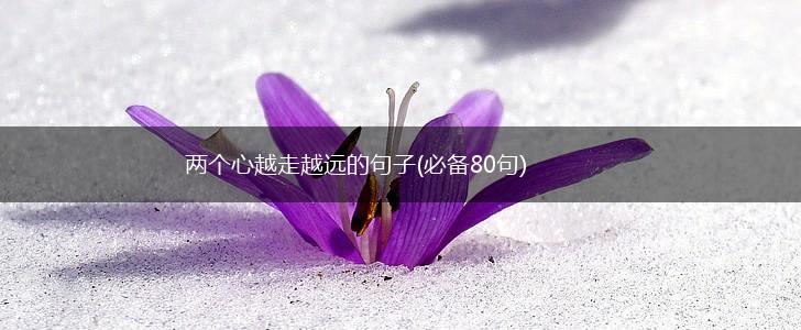 两个心越走越远的句子(必备80句),第1张