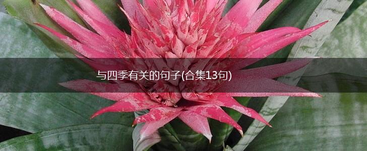 与四季有关的句子(合集13句),第1张