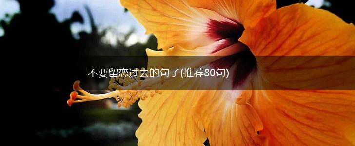 不要留恋过去的句子(推荐80句),第1张