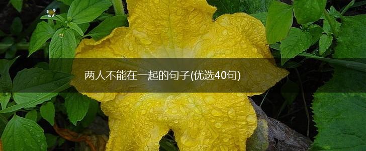 两人不能在一起的句子(优选40句),第1张