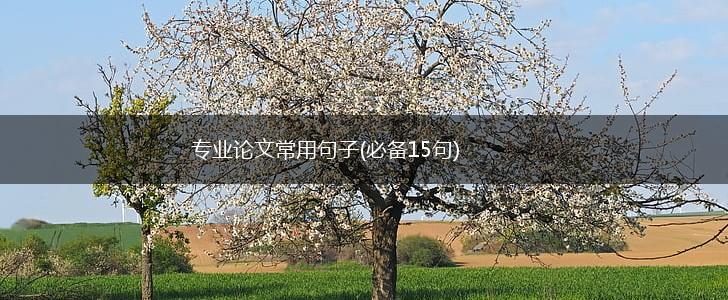 专业论文常用句子(必备15句),第1张