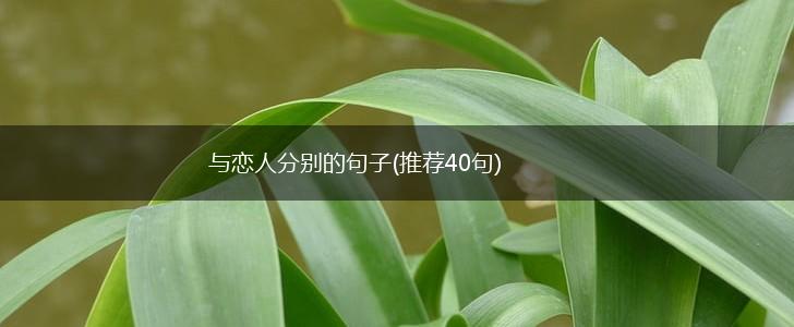 与恋人分别的句子(推荐40句),第1张