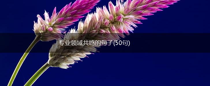 专业领域共鸣的句子(50句),第1张