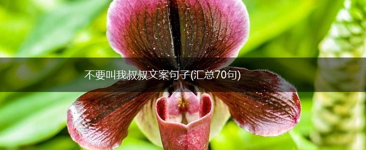 不要叫我叔叔文案句子(汇总70句),第1张
