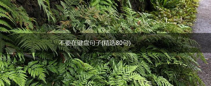 不要在键盘句子(精选80句),第1张