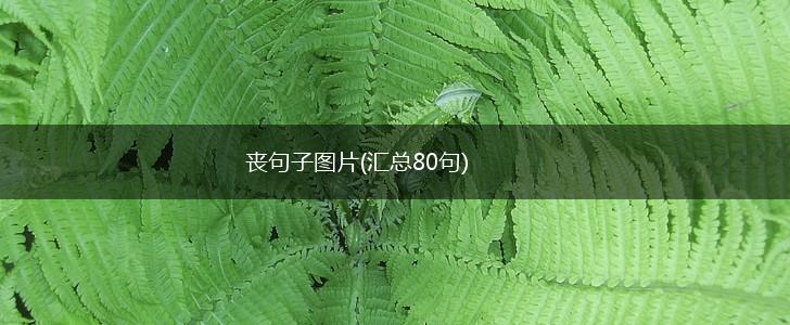 丧句子图片(汇总80句),第1张