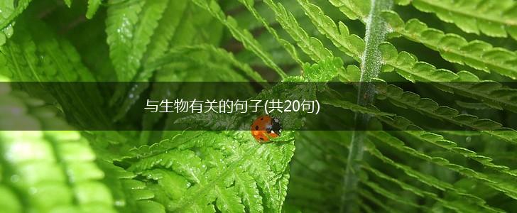 与生物有关的句子(共20句),第1张