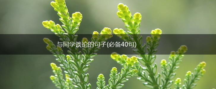 与同学谈论的句子(必备40句),第1张