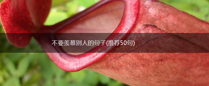 不要羡慕别人的句子(推荐50句),第1张