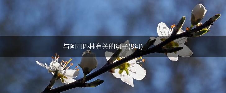 与阿司匹林有关的句子(8句),第1张