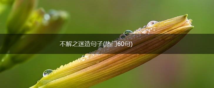 不解之迷造句子(热门60句),第1张