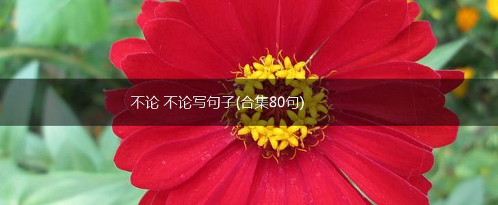 不论 不论写句子(合集80句),第1张