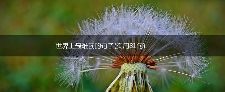 世界上最难读的句子(实用81句),第1张