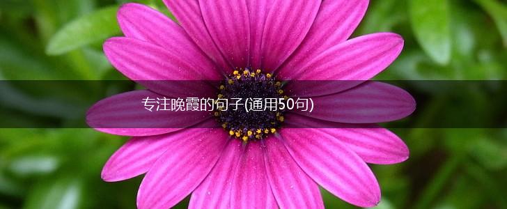 专注晚霞的句子(通用50句),第1张