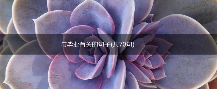 与毕业有关的句子(共70句),第1张