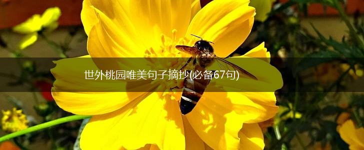 世外桃园唯美句子摘抄(必备67句),第1张