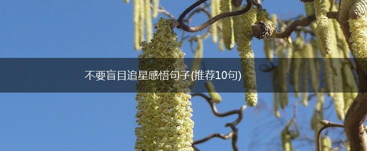 不要盲目追星感悟句子(推荐10句),第1张