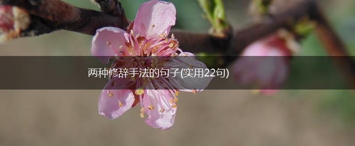 两种修辞手法的句子(实用22句),第1张