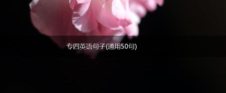 专四英语句子(通用50句),第1张