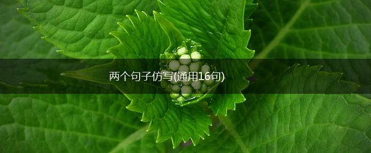 两个句子仿写(通用16句),第1张