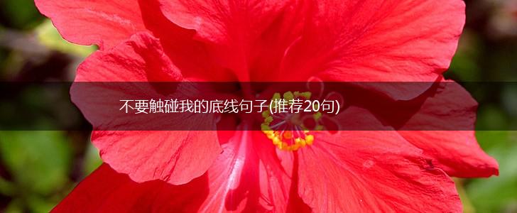 不要触碰我的底线句子(推荐20句),第1张