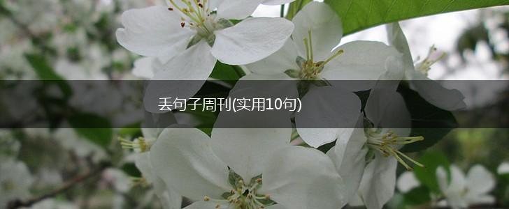 丢句子周刊(实用10句),第1张