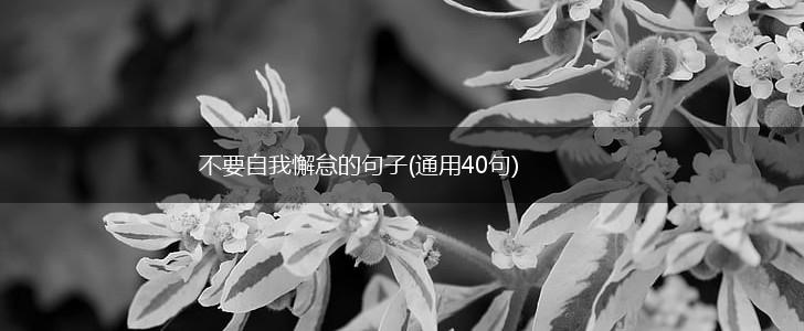 不要自我懈怠的句子(通用40句),第1张