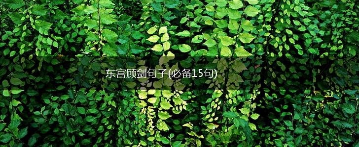 东宫顾剑句子(必备15句),第1张