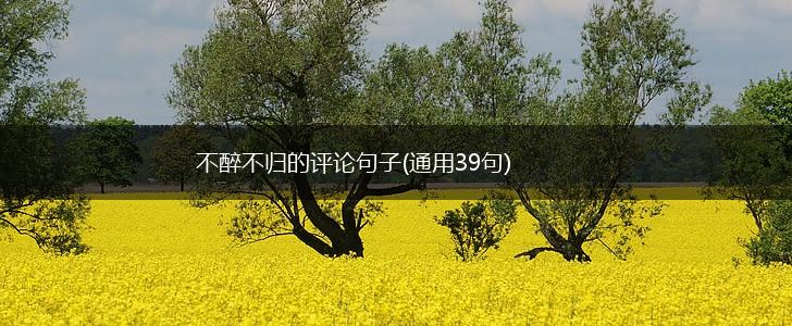 不醉不归的评论句子(通用39句),第1张
