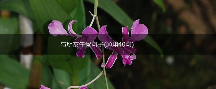 与朋友午餐句子(通用40句),第1张