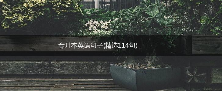 专升本英语句子(精选114句),第1张