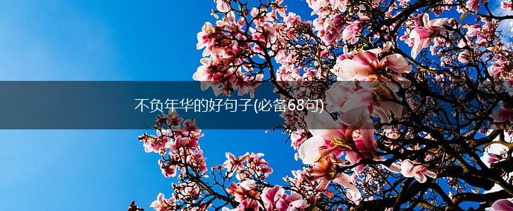 不负年华的好句子(必备68句),第1张