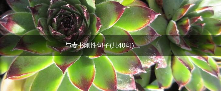 与妻书刚性句子(共40句),第1张