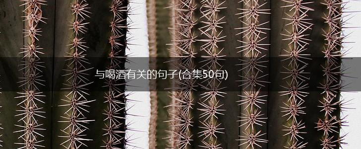 与喝酒有关的句子(合集50句),第1张
