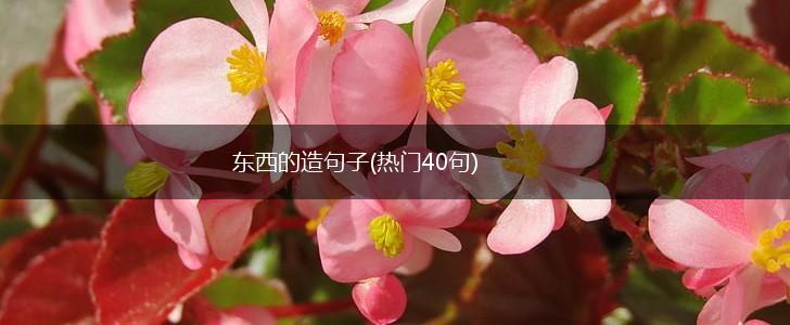 东西的造句子(热门40句),第1张