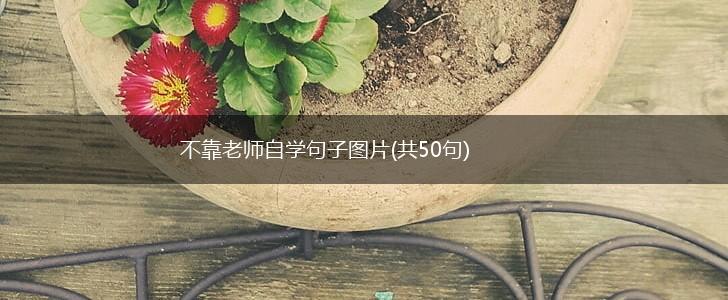 不靠老师自学句子图片(共50句),第1张