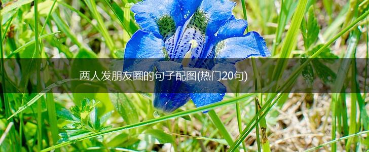 两人发朋友圈的句子配图(热门20句),第1张