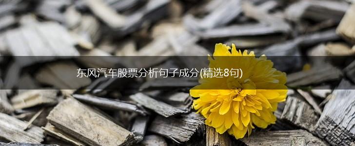 东风汽车股票分析句子成分(精选8句),第1张